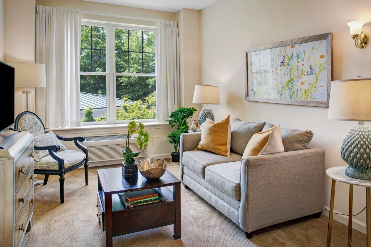 A cozy living room with a sofa, coffee table, and decorative pillows, complemented by indoor plants and a large window.