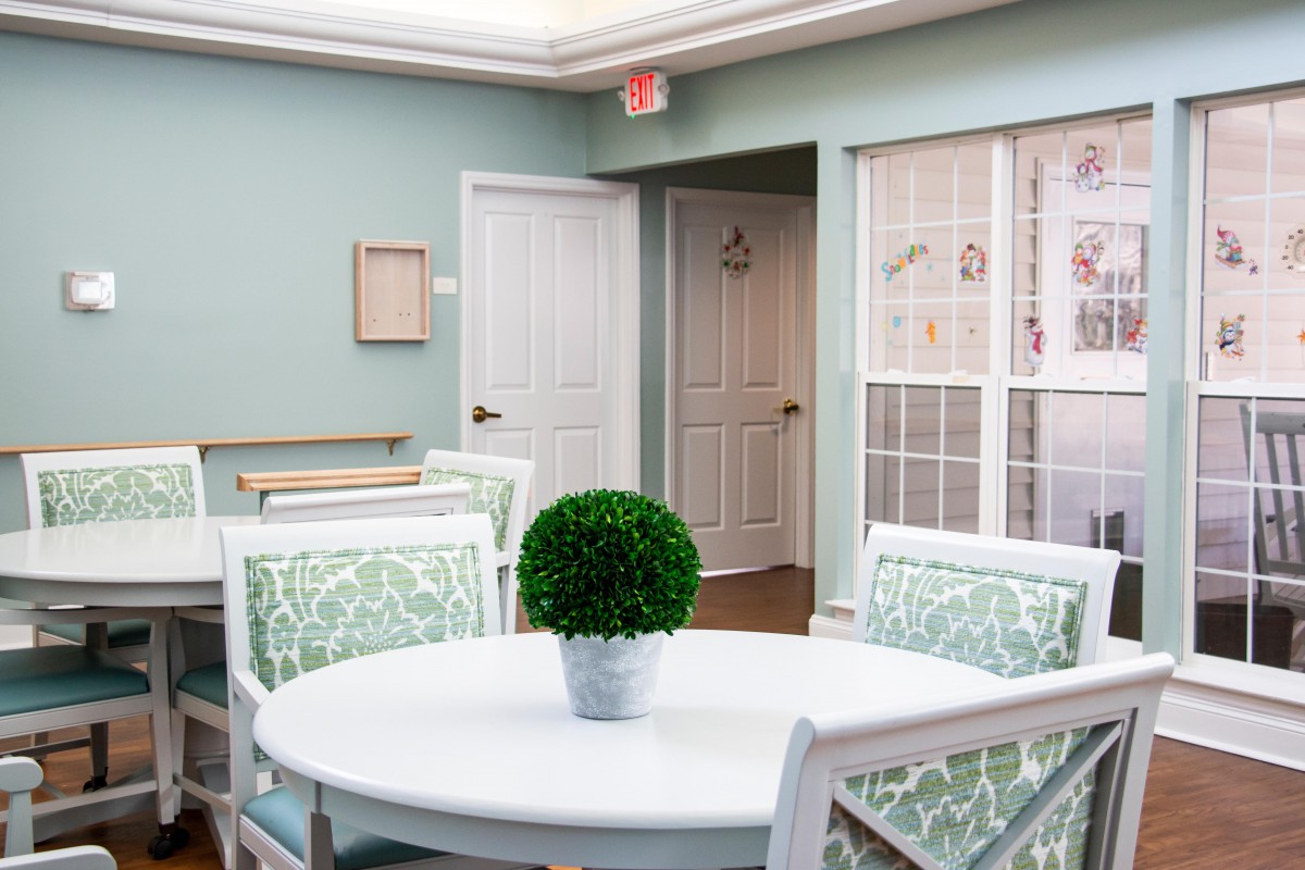 A clean and well-lit dining area with a round table and chairs, featuring decorative plants.