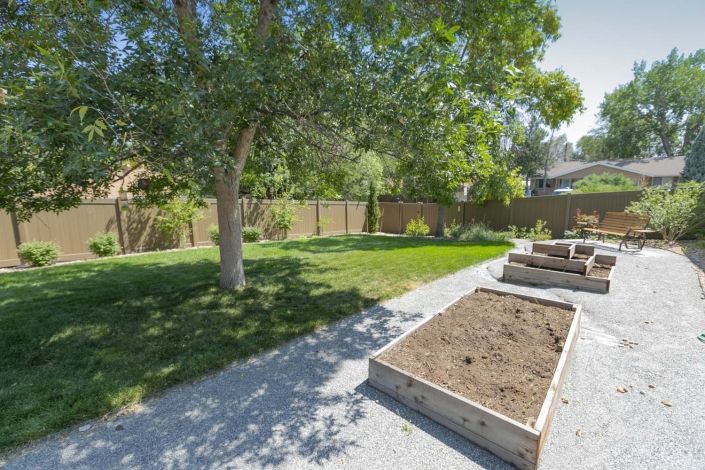 A sunny backyard with a tree and raised garden beds.
