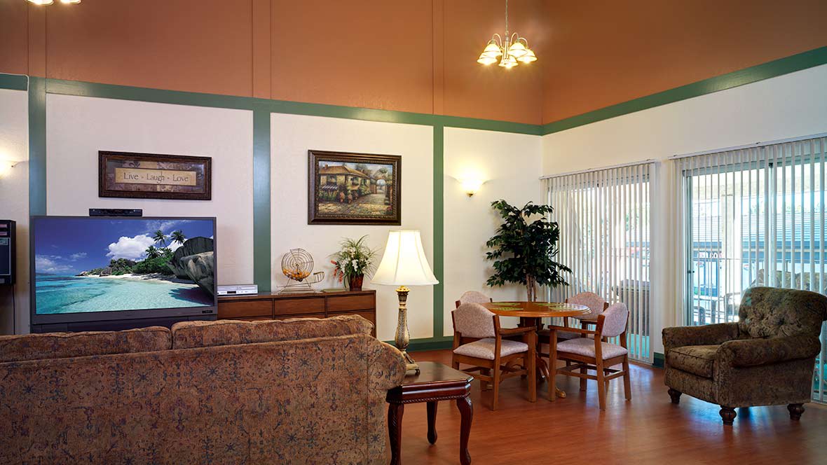A cozy living room with a sofa, table, and decor elements like lamps and plants.