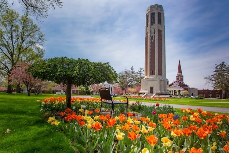 A scenic view of a garden with vibrant tulips and a tall tower in the background.