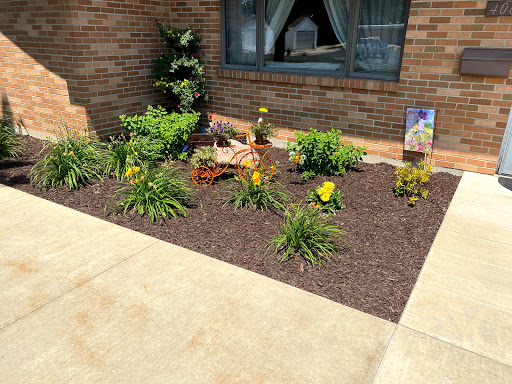 A vibrant garden featuring yellow flowers and lush green plants, accented by brown mulch in a residential setting.