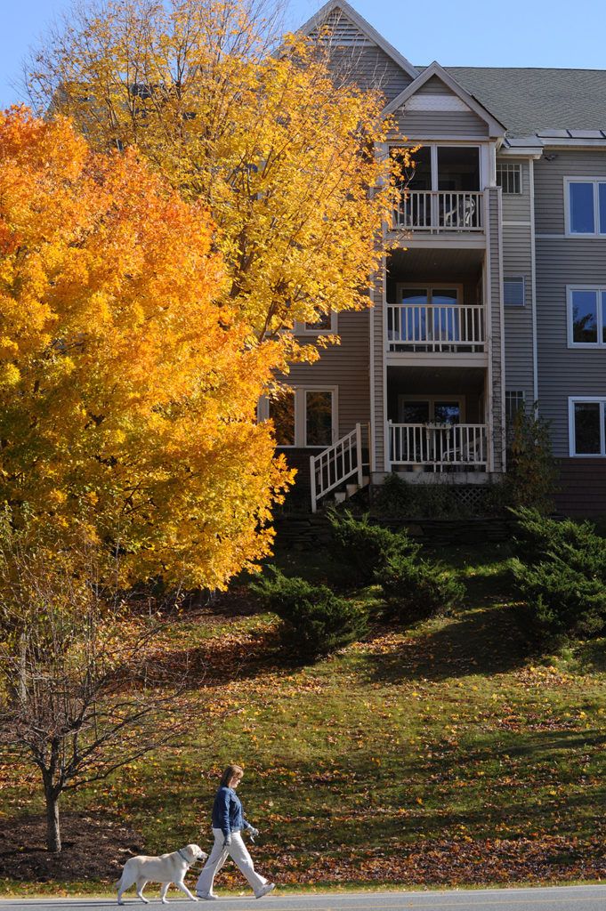 A scenic view of an apartment building surrounded by vibrant autumn foliage.