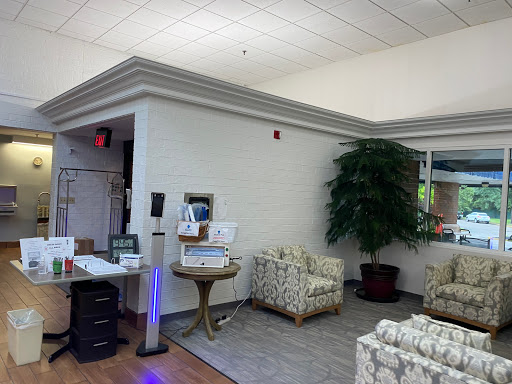A cozy waiting area with comfortable seating and greenery.