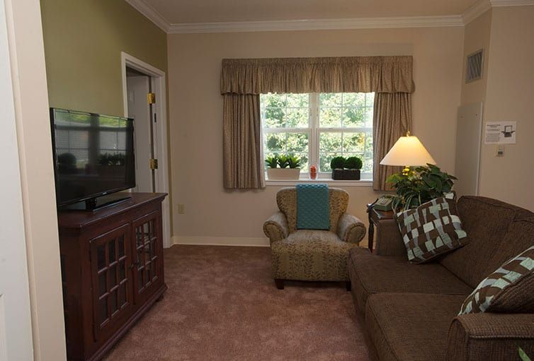 A cozy living room with a sofa, armchair, and a TV stand, accented by a large window with plants on the sill.