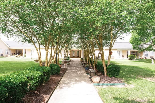 A scenic pathway lined with trees leading to a building entrance.
