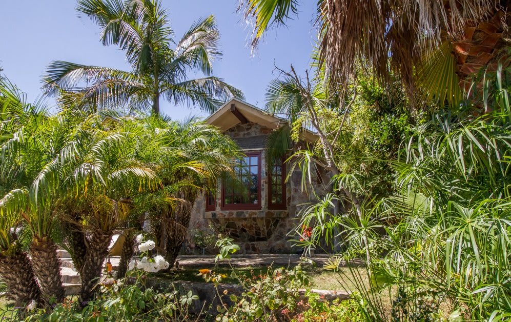 A charming house surrounded by lush tropical foliage and palm trees on a sunny day.