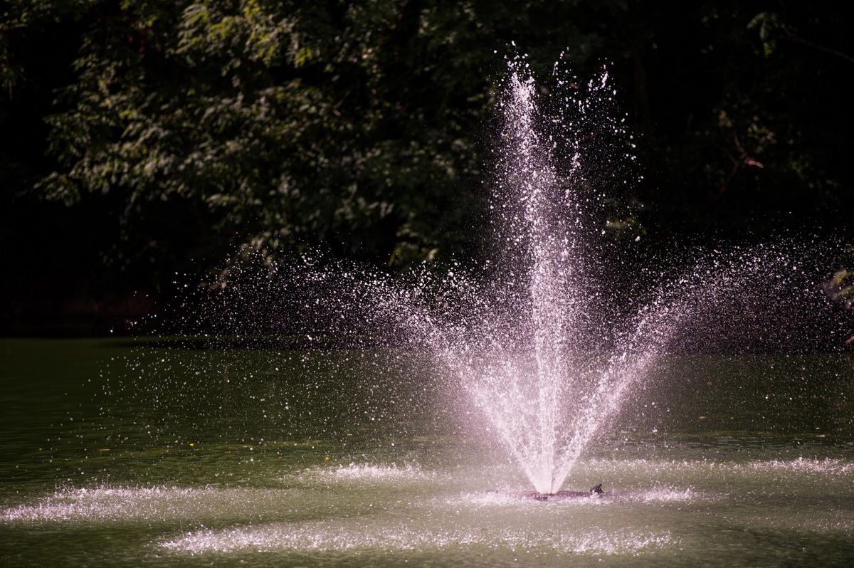 A water fountain spraying in a park setting.