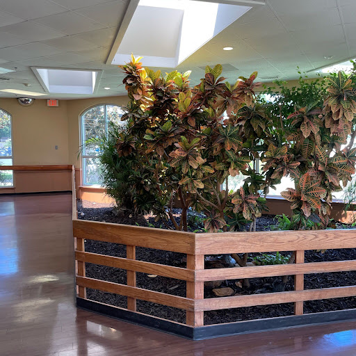 A well-lit interior space featuring a wooden planter with lush green plants.