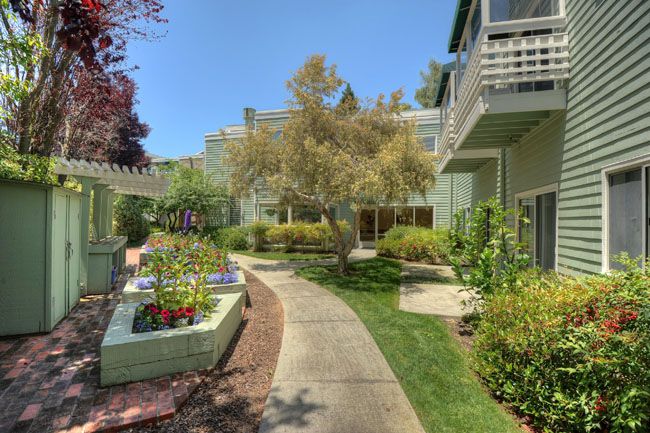 Palo Alto Commons