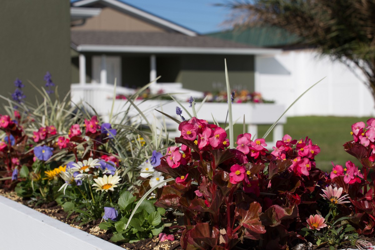 A colorful flower bed in front of a house with a green lawn.