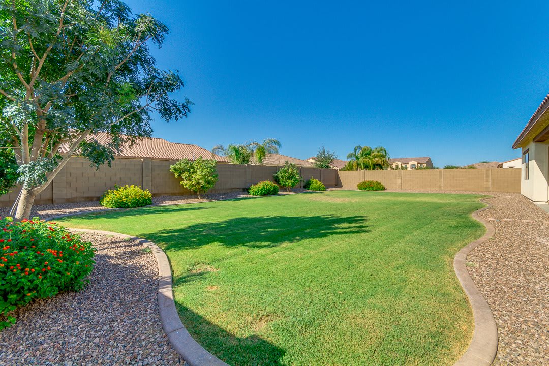 A well-maintained backyard with a lush green lawn, trees, and a surrounding fence on a sunny day.