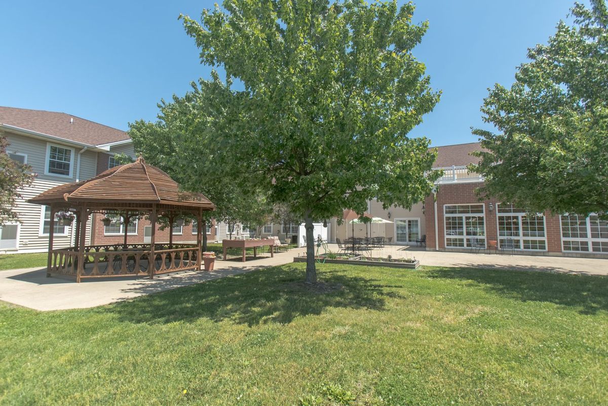 A sunny outdoor space featuring a lush tree, a wooden gazebo, and adjacent buildings.