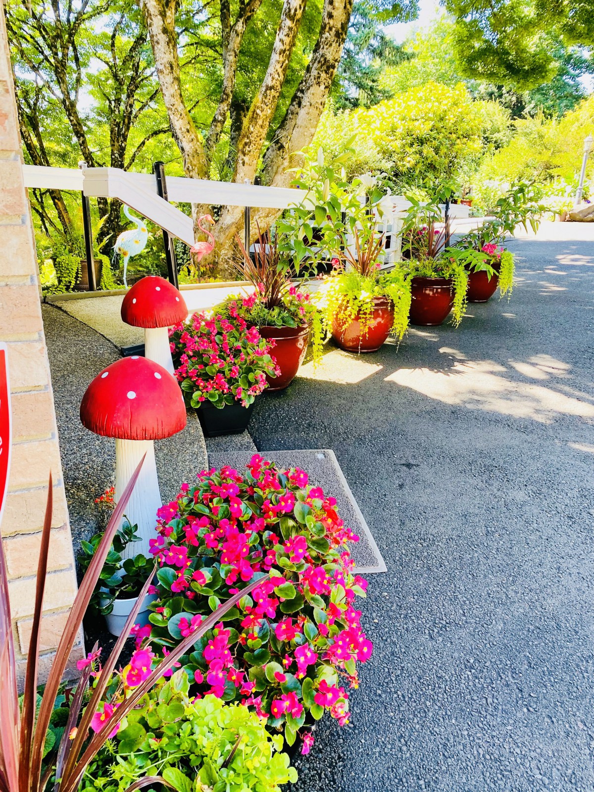 A vibrant garden pathway adorned with colorful flowers and charming mushroom decorations.