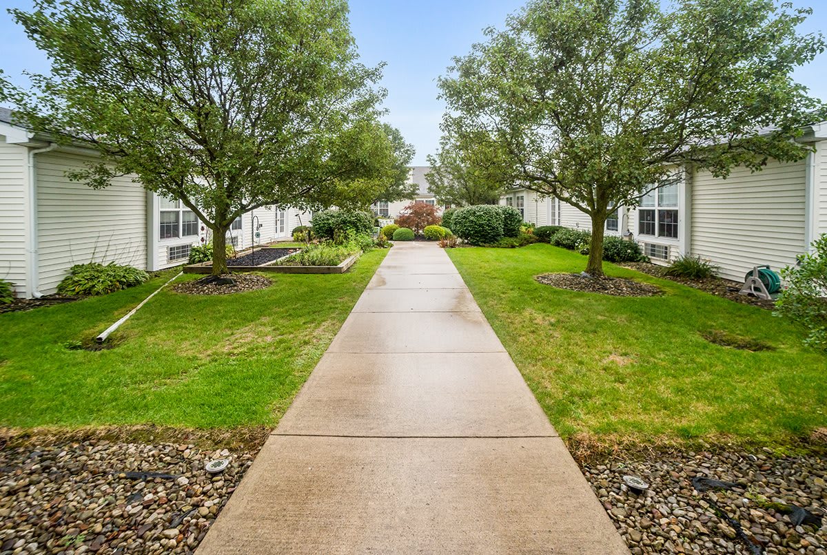 A serene pathway flanked by trees and buildings on a clear day.