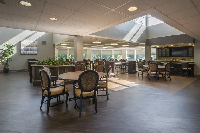 A spacious dining area with natural light streaming through skylights, featuring tables, chairs, and indoor plants.