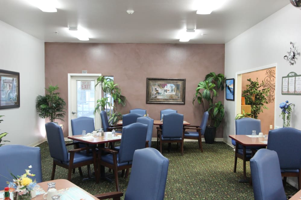 A neatly arranged dining area with blue chairs and tables, decorated with indoor plants and artwork on the walls.