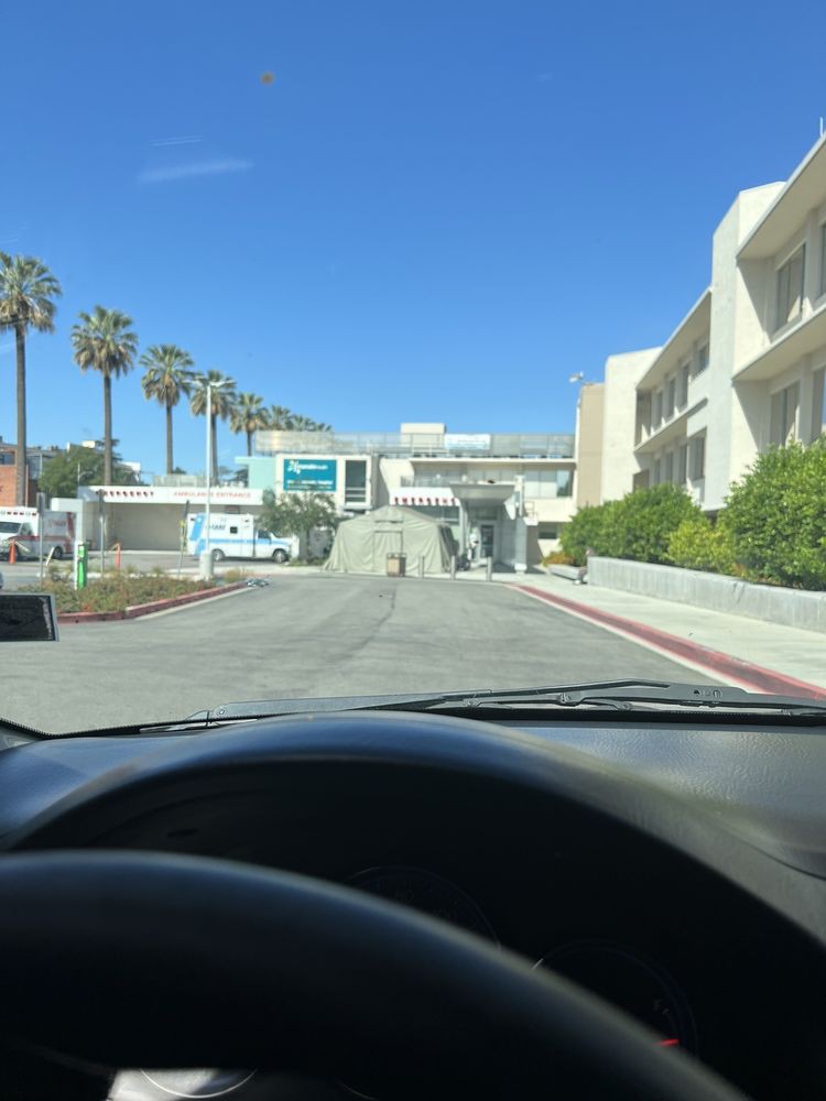 View from inside a car approaching modern buildings lined with palm trees on a sunny day.