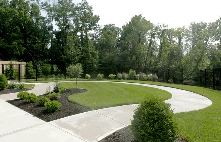 A beautifully landscaped driveway with a lush green lawn and surrounding shrubs.