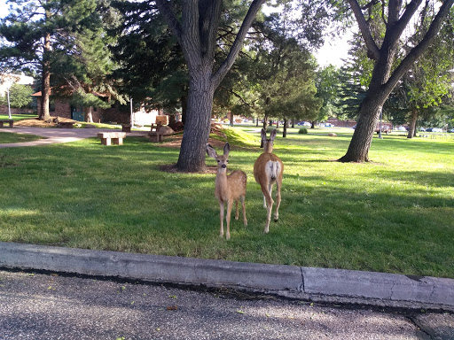 Mount St Francis Nursing Center