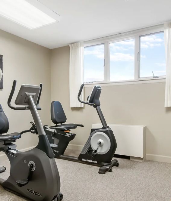 A small gym with stationary bikes and natural lighting.