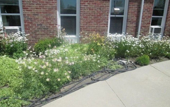 Pioneer Manor Nursing Home
