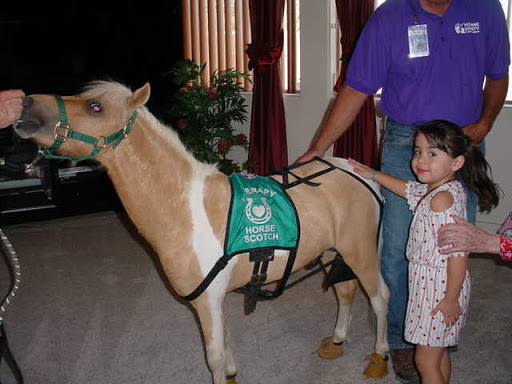 Moreno's Assisted Living