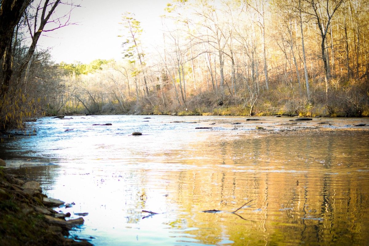A serene river flowing through a forest with trees reflecting on the water's surface.