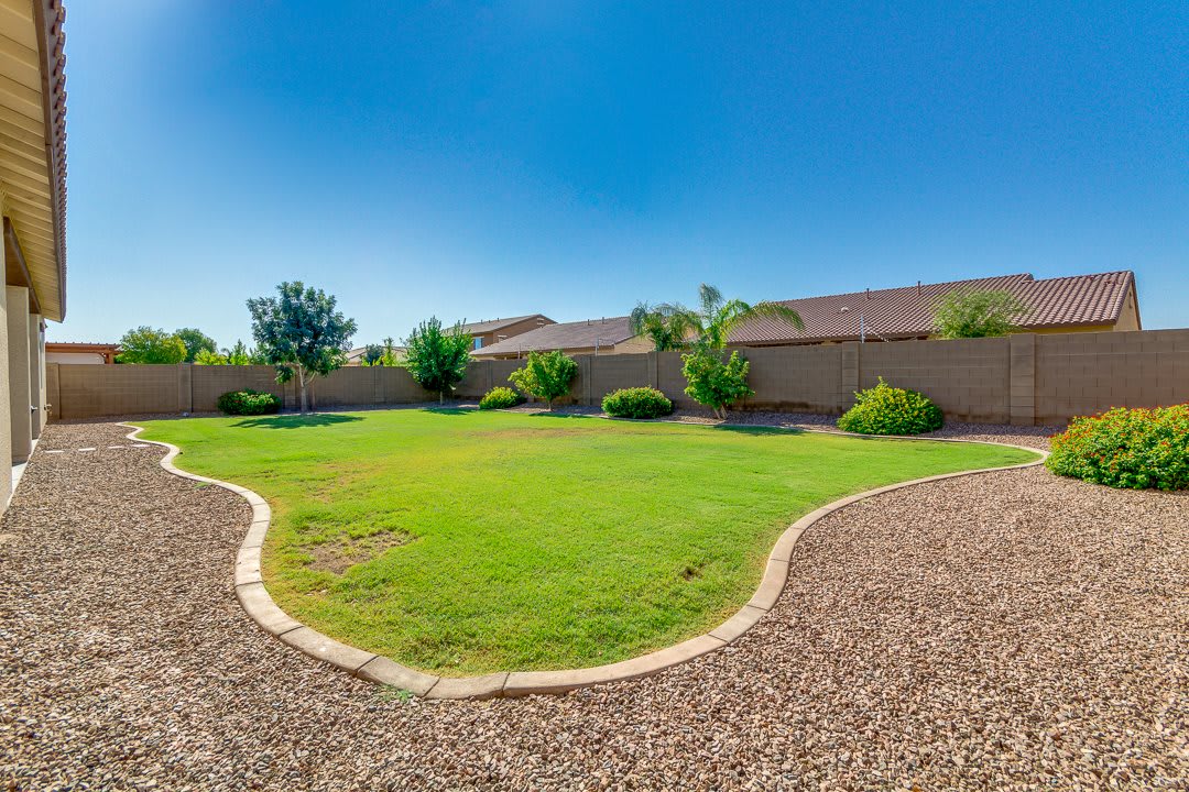A well-maintained backyard with a green lawn surrounded by trees and shrubs under a clear blue sky.