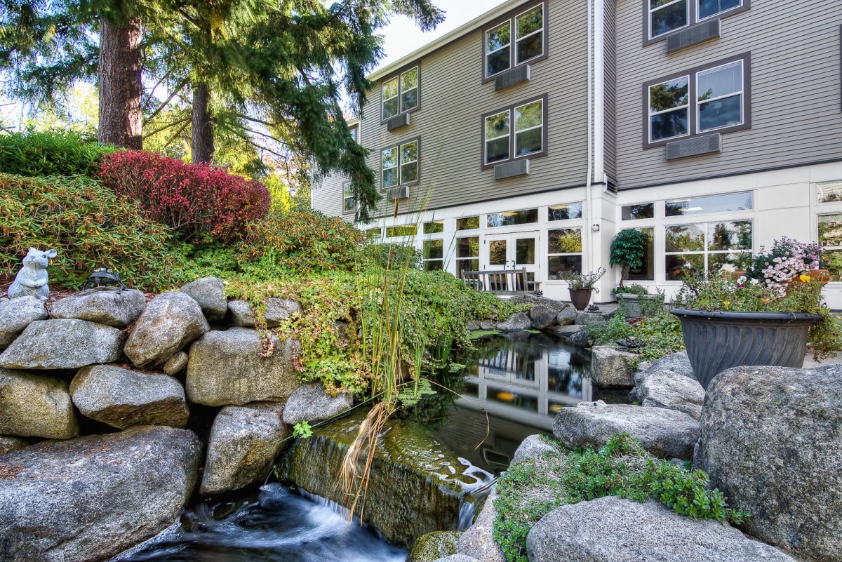 A serene garden with a water feature beside a modern building.