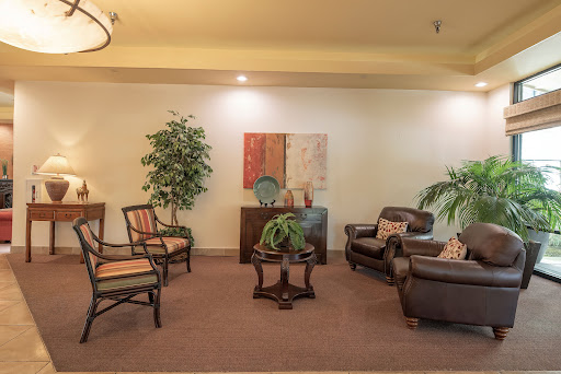 A cozy waiting area featuring comfortable seating and greenery for a welcoming atmosphere.