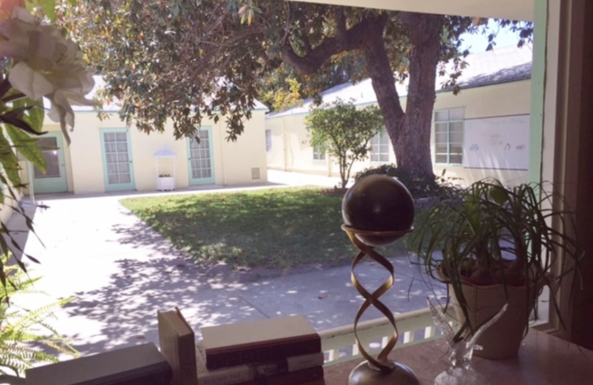 A view through a window overlooking a sunlit courtyard with a large tree and various plants.
