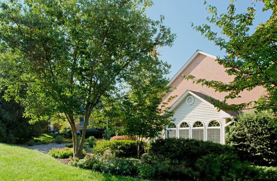 A charming house with a lush garden and large trees on a sunny day.