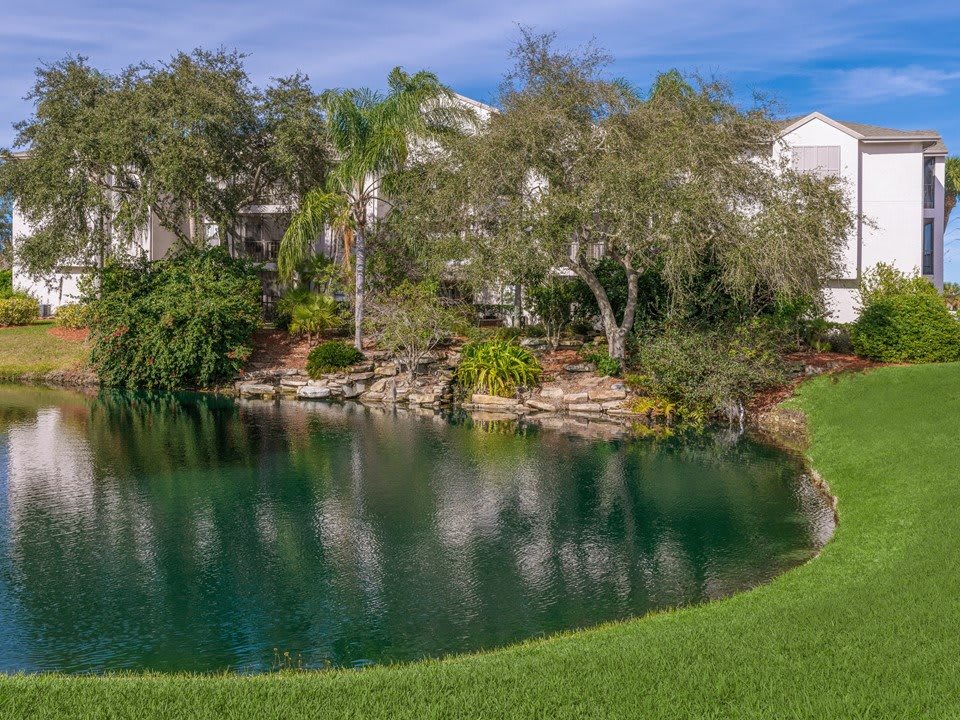 A serene residential area with a small lake surrounded by lush trees and greenery.