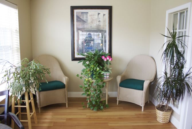 A cozy living room corner featuring two chairs, a variety of plants, and an artwork on the wall.