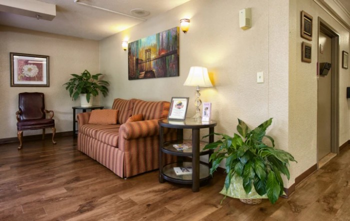 A cozy living room with a striped sofa, indoor plants, and wall artwork.