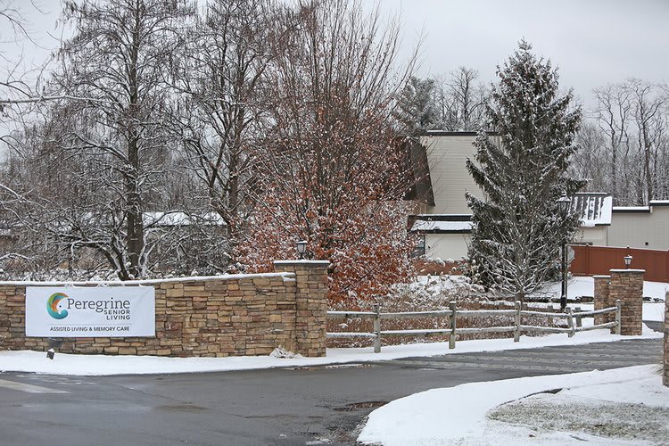 A snowy landscape with trees and a house near a stone fence.