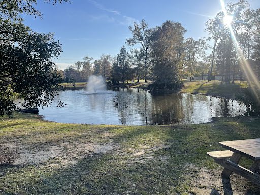 A peaceful view of a pond surrounded by trees, with sunlight reflecting off the water.