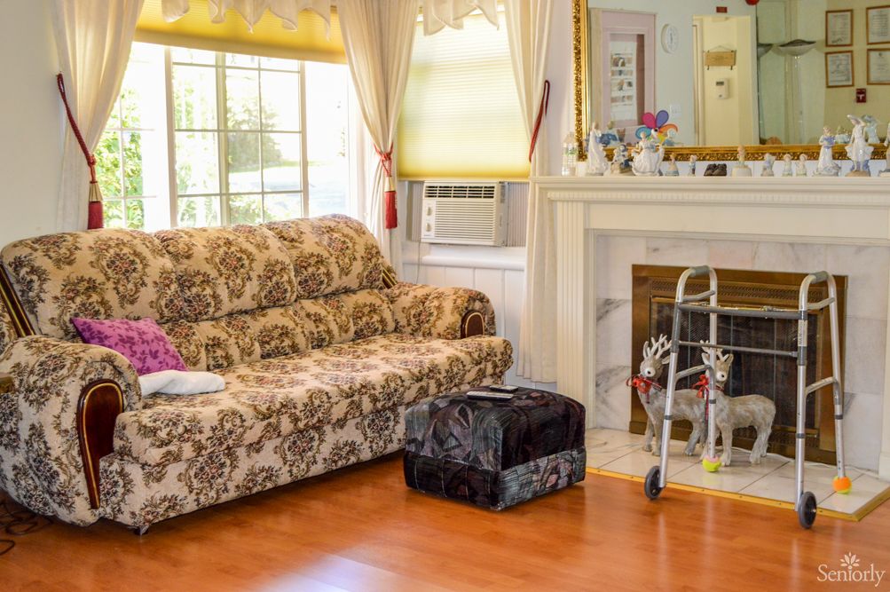 A cozy living room featuring a patterned sofa, a walker, and a pet carrier near the fireplace.