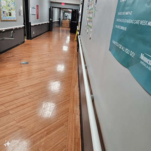 Momence Meadows Nursing & Rehab