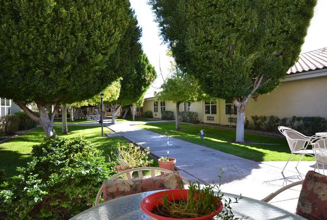 A peaceful garden pathway lined with lush trees and greenery.