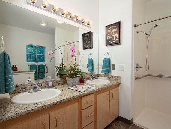 A modern bathroom featuring a granite countertop with double sinks, decorative lighting, and an orchid plant.