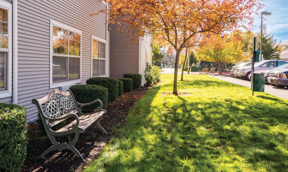 A sunny autumn day with a bench and trees casting shadows on the grass beside a building.