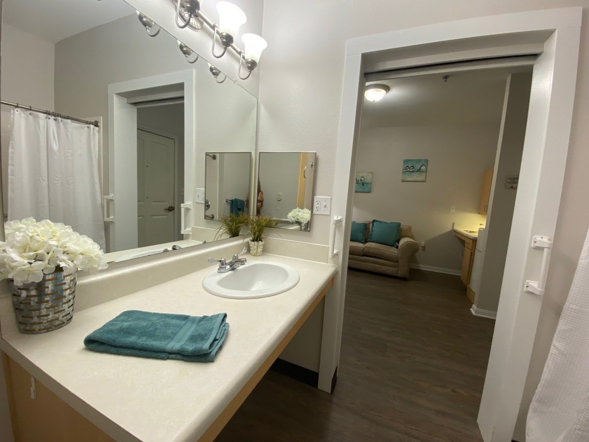 A bathroom with a neatly arranged sink and mirror, adjacent to a cozy living room.