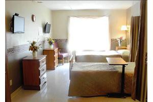A bright bedroom with twin beds, a television, and wooden furniture.