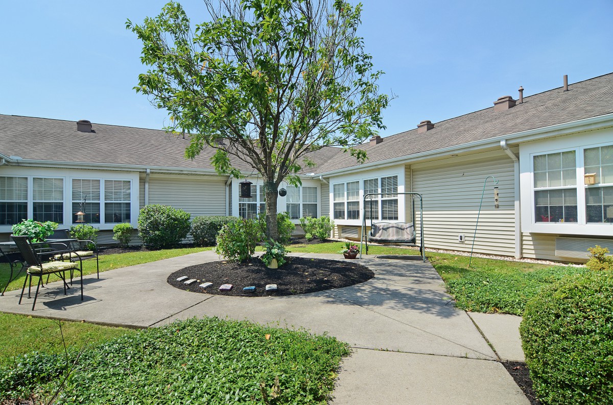 A well-maintained courtyard with a central tree surrounded by a paved pathway on a sunny day.