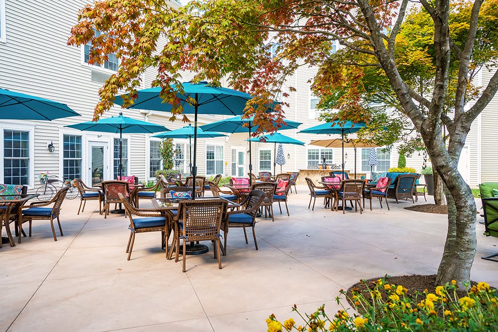 A charming outdoor patio with tables, chairs, and umbrellas surrounded by lush greenery.