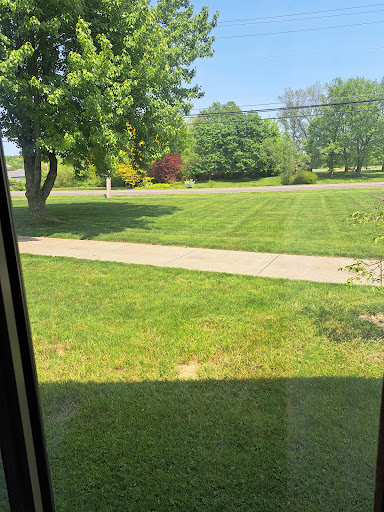 A sunny day showcasing a well-maintained lawn with trees and a sidewalk.