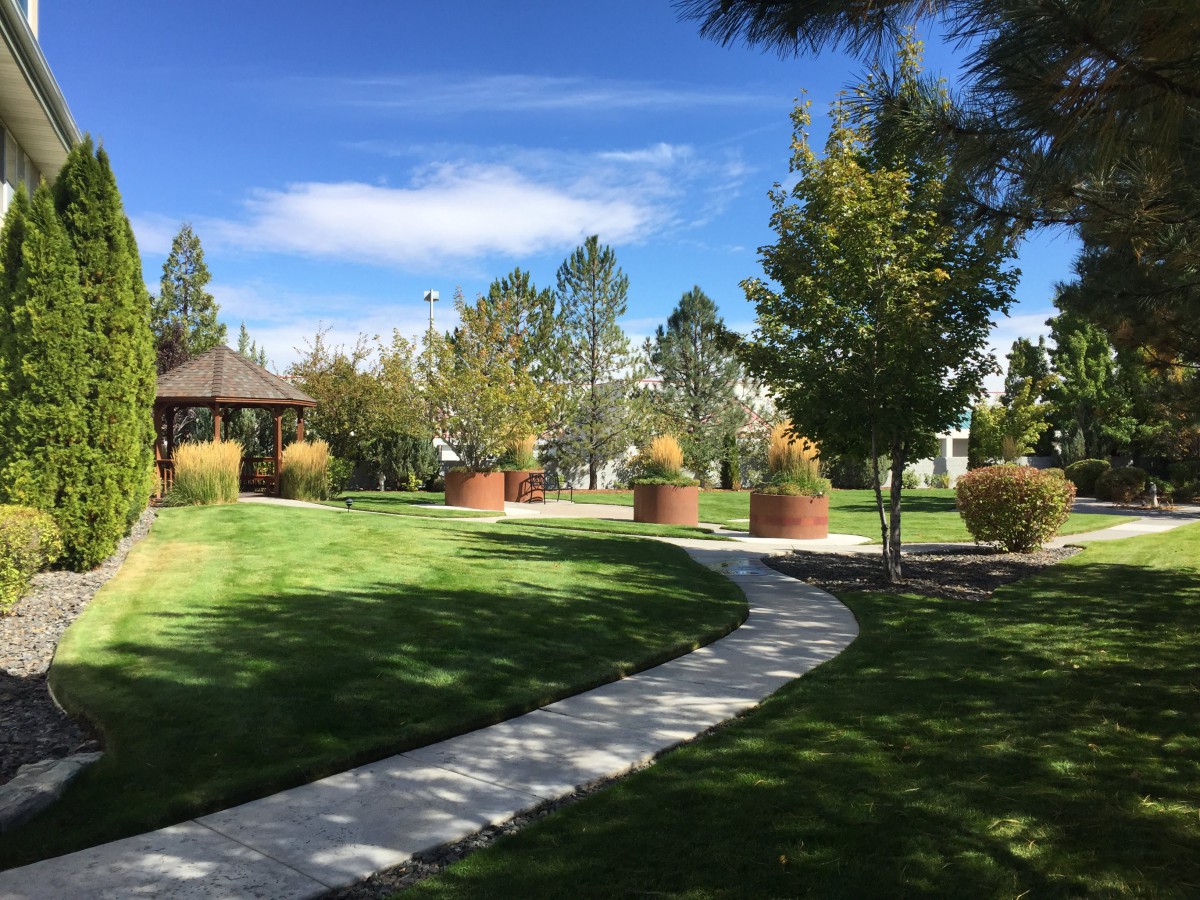 A serene park scene with a winding pathway leading to a gazebo, surrounded by lush greenery and trees.