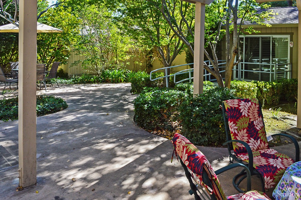 A sunny garden pathway with colorful patio chairs surrounded by lush greenery.